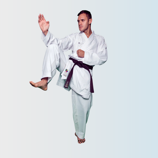 Arawaza Kumite Deluxe Evo WUKF app.